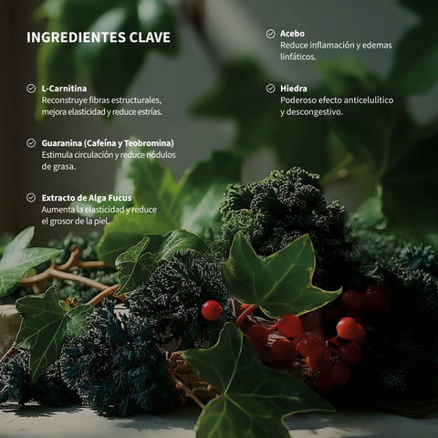 Crema Moldeadora Corporal con L-Carnitina 200 ml / 1 L