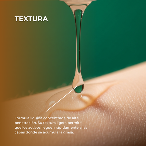 Tratamiento Control de Celulitis con L Carnitina, Hiedra y Fucus 12 x 10 ml