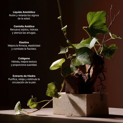 Ampolletas Anti edad Bio Shock con Colágeno y Elastina 12 x 3 ml