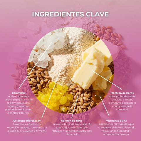 Crema Antiedad Ceramide Regenera e Hidrata 50 ml