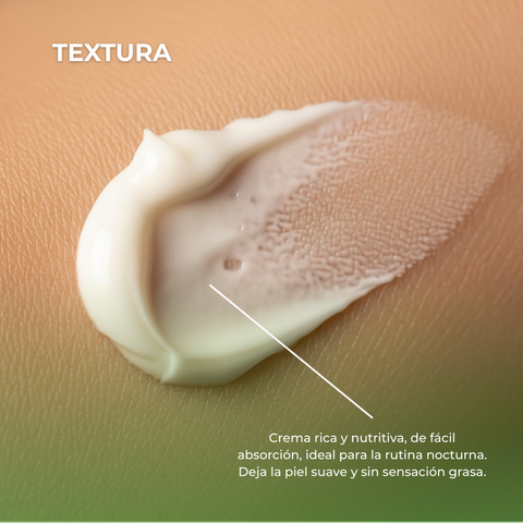Crema Activadora Celular de Noche Cell Active Phitology Botanic 50 ml