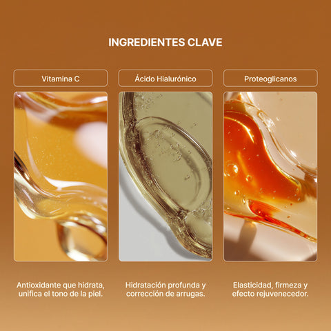 Ampolletas con Proteoglicanos Vitamina C y Ácido Hialurónico 10 x 2 ml