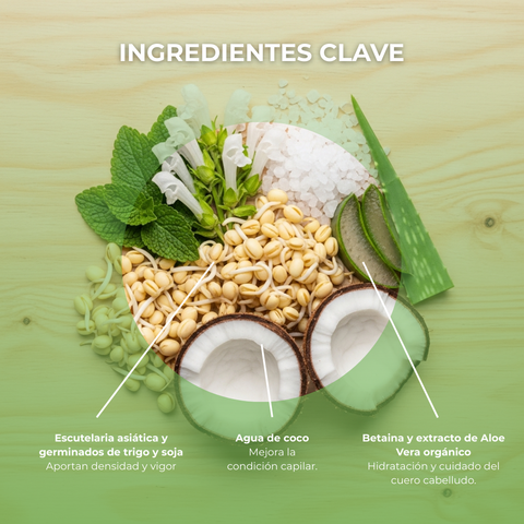 Shampoo Anticaída Organicals