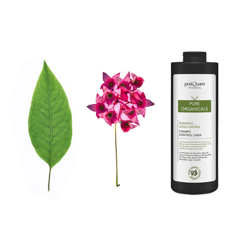 Shampoo Anticaída Organicals
