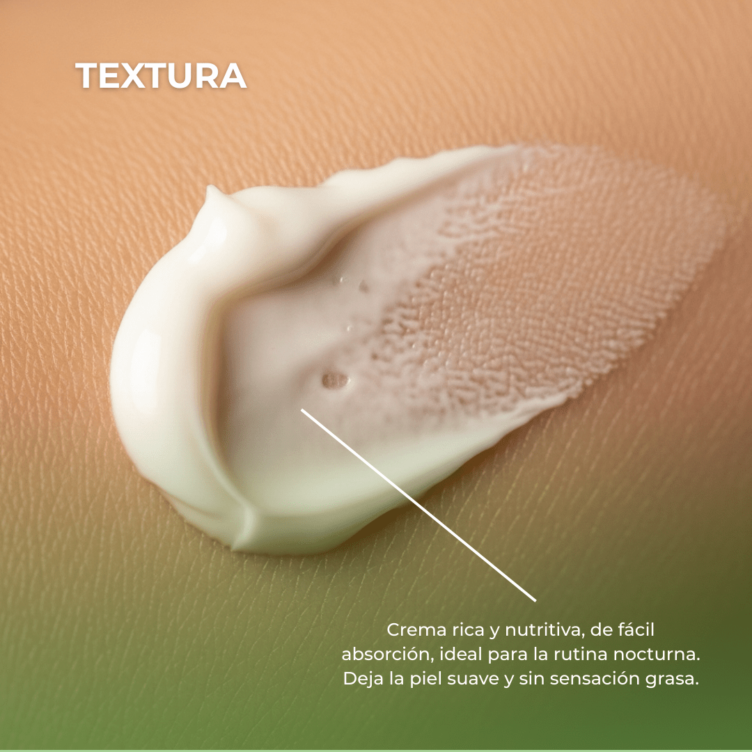 Crema Activadora Celular de Noche Cell Active Phitology Botanic 50 ml - PostQuam
