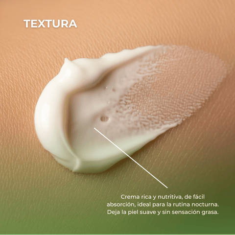Crema Activadora Celular de Noche Cell Active Phitology Botanic 50 ml - PostQuam