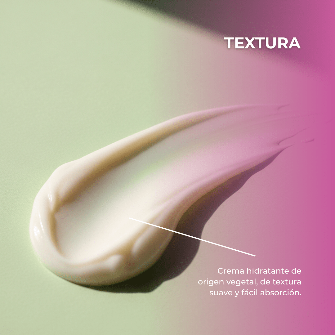 Crema Antiedad Ceramide Regenera e Hidrata 50 ml - PostQuam