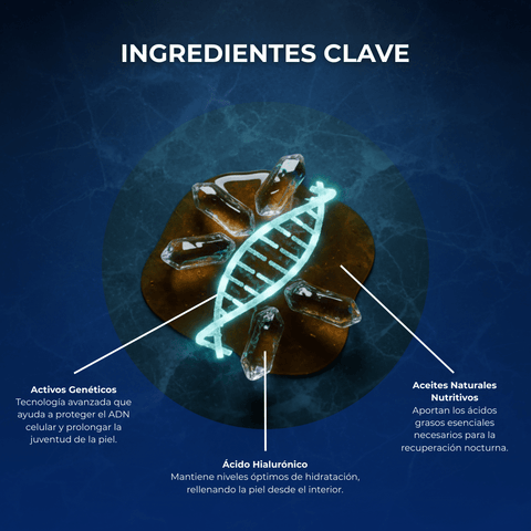 Crema Intensiva Antiedad de Noche X-Lift Genetic 50 ml - PostQuam