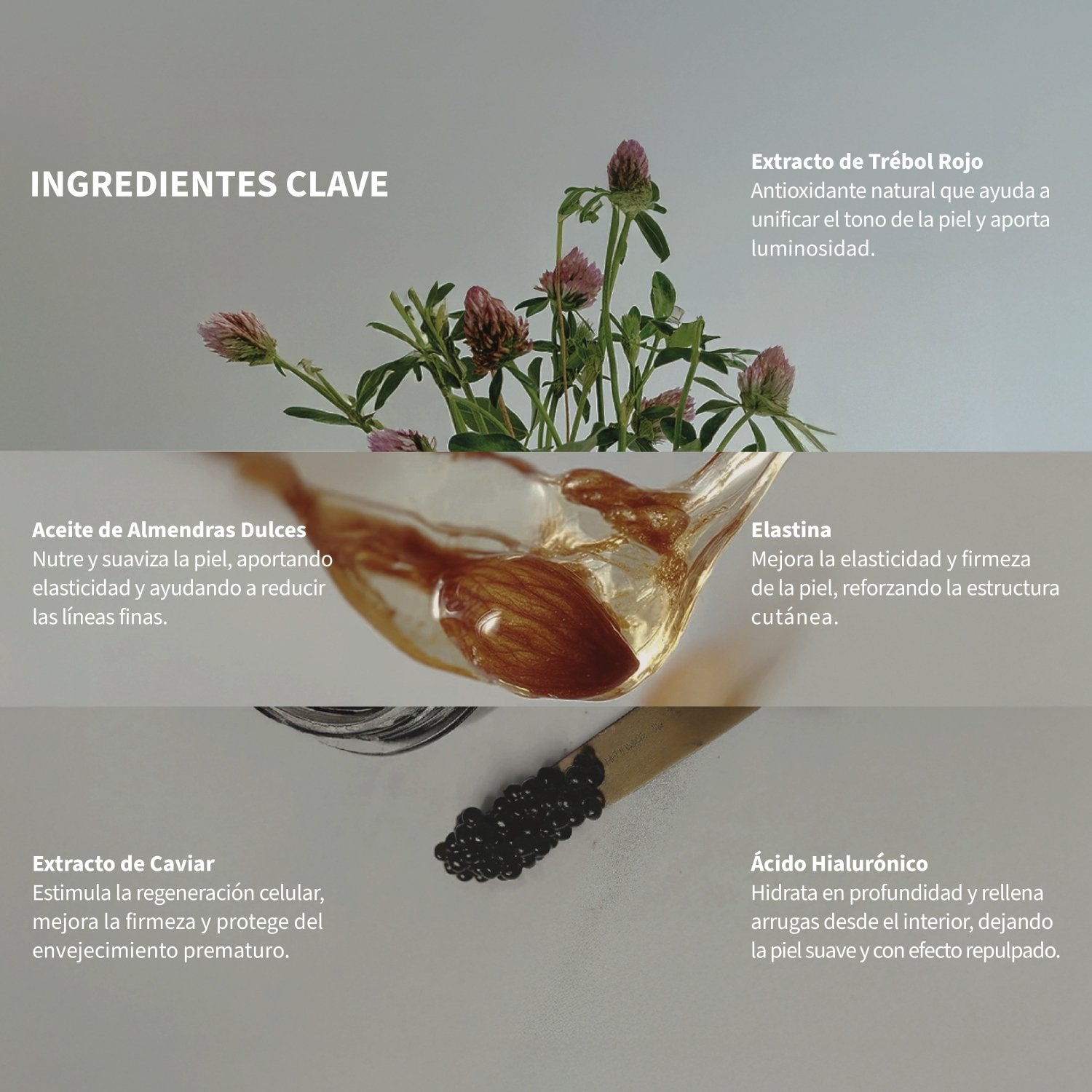 Kit Antiedad Caviar Crema Día y Contorno de Ojos Hidratación y Rejuvenecimiento Total - PostQuam